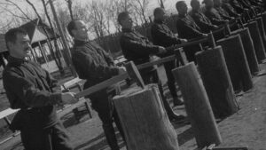 Enthusiasm. Symphony of Donbas