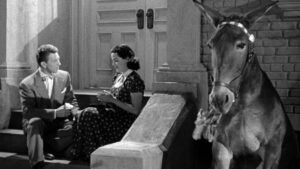 Francis Covers the Big Town