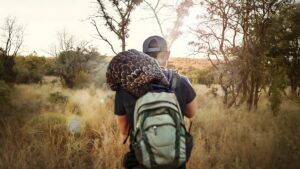 Pangolin: Kulu’s Journey