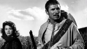 The Taste of Violence