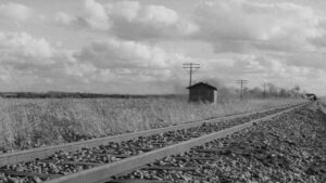 The Human Condition I: No Greater Love