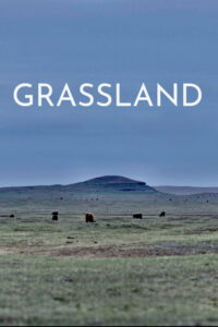 Grassland