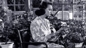 Walk Softly, Stranger