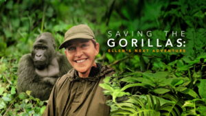 Saving the Gorillas: Ellen’s Next Adventure