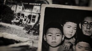 Miyazaki, Spirit of Nature