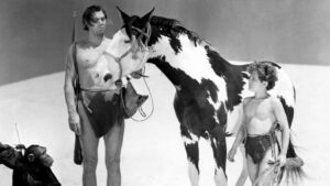 Tarzan’s Desert Mystery