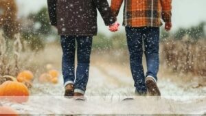 Snow Falling on Pumpkins