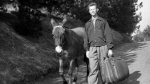 Francis Goes to the Races