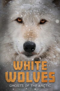 White Wolves: Ghosts of the Arctic
