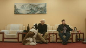 The Saint Bernard Syndicate