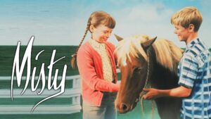 Misty