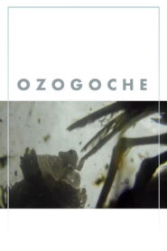 Ozogoche