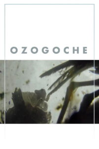 Ozogoche