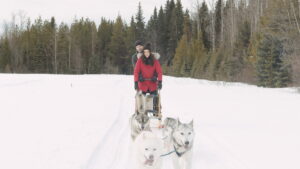 A Great North Christmas