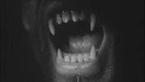 Werewolf in a Girls’ Dormitory