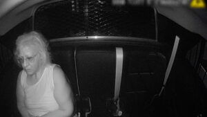 The Perfect Neighbor