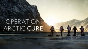 Operation Arctic Cure