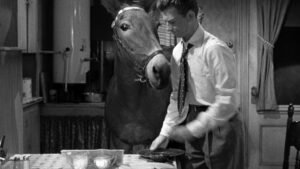 Francis Covers the Big Town