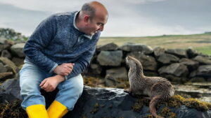 Billy & Molly: An Otter Love Story