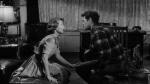 The Shadow on the Window