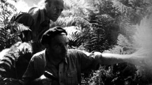 The Battle of the Rails