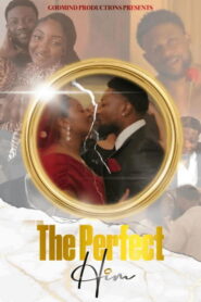 The Perfect Him