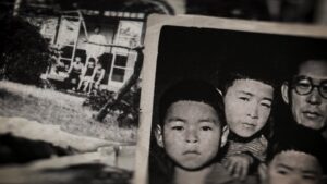 Miyazaki, Spirit of Nature