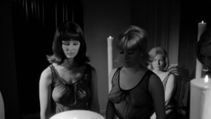 Red Roses of Passion