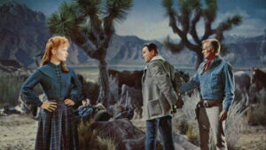 The Law and Jake Wade