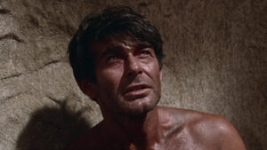 Sands of the Kalahari