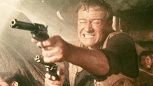 The Sons of Katie Elder