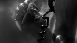 Who Killed Teddy Bear?