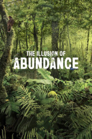 The Illusion of Abundance
