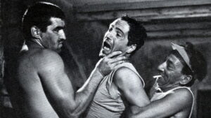 On the Tiger’s Back