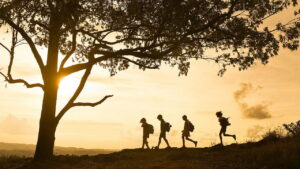 Monica and Friends: Bonds