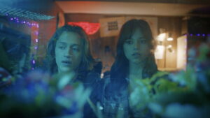 Winter Spring Summer or Fall