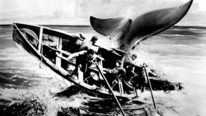 Down to the Sea in Ships