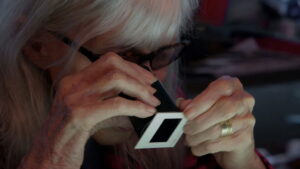 Beyond the Gaze: Jule Campbell’s Swimsuit Issue