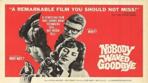 Nobody Waved Goodbye