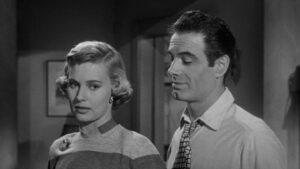 The Killer That Stalked New York