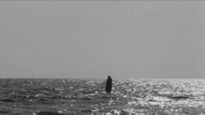 The Gospel According to St. Matthew