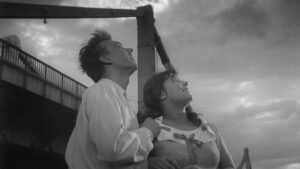 The Cranes Are Flying