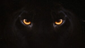 Diabolik: Who Are You?