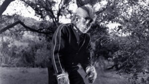 I Was a Teenage Werewolf