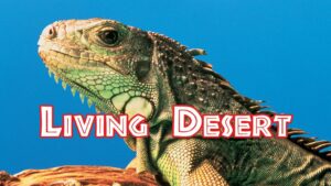 The Living Desert