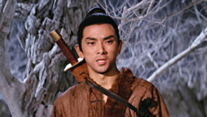 The One-Armed Swordsman