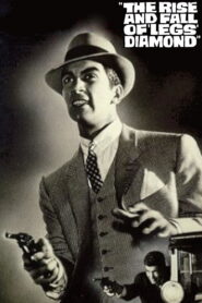 The Rise and Fall of Legs Diamond