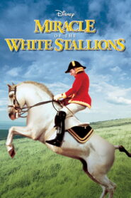 Miracle of the White Stallions