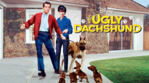 The Ugly Dachshund