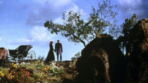 Tennessee’s Partner